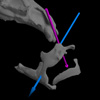 Once we have an xromm, we can use anatomically-relevant axis systems to describe the 6 degrees of freedom of each bone relative to other bones. Here, two of the axes of the maxilla are demonstrated for an open-mouthed protrusion.  Rotation about the magenta axis shows parasagittal rotation of the maxilla; rotation about the blue axis shows long-axis rotation of the maxilla; translation along the blue axis shows ventral translation of the maxilla.